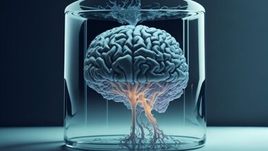 Daily Wellness Tips for a Healthy and Balanced Life