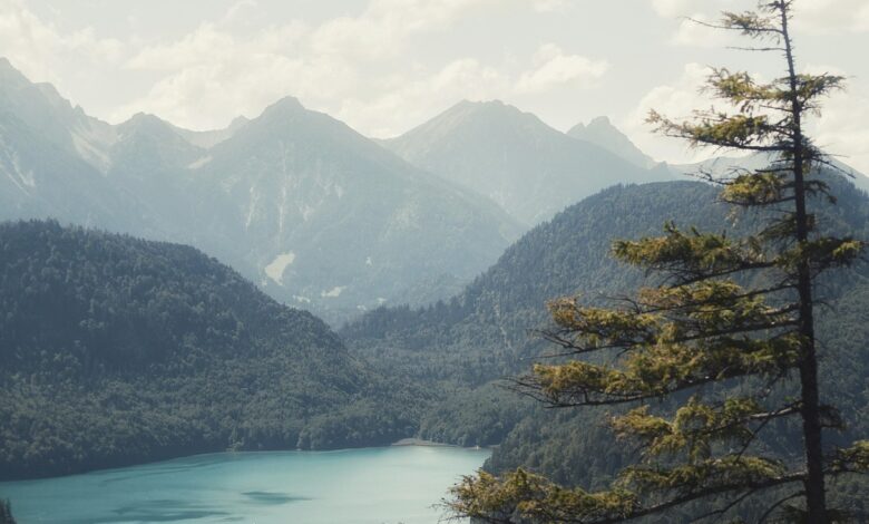 Daily Self-Care Tips for a Healthier, Happier You